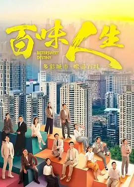 雾港迷航 电视剧全集免费观看